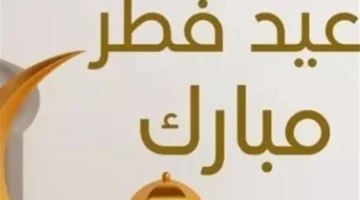 قرارات مجلس الوزراء تحدد عدد أيام إجازة عيد الفطر للعاملين بالدولة